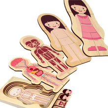 Load image into Gallery viewer, Multi-Layer Wooden Human Body Puzzles Structure Toys Children Early Learning Educational Body Cognition Baby Toys Puzzles