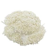 Load image into Gallery viewer, 900pcs/lot Random Mixed Double Heads DIY Artificial Mini Pearl Flower Stamen Pistil 1mm Floral Stamen For Wedding Decoration DIY