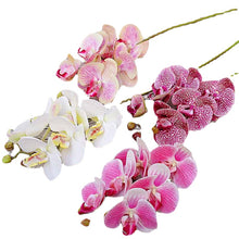 Load image into Gallery viewer, 5pcs 1 Bundle(6 Heads) Plastic Butterfly Orchid Vases for Home Decor Wedding Decorative Plants Christmas Gifts Box Artificial Flowers