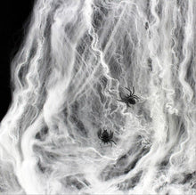 Load image into Gallery viewer, Halloween Spider Web Decorations with 2 Extra Fake Spiders White Cotton Cobweb for Haunted House Halloween Party Decor