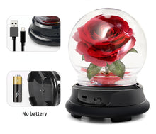 Load image into Gallery viewer, Artificial Flower Rose Glass Cover Lamp Little Prince New Exotic Creative Gift Christmas Gift