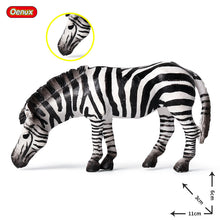 Load image into Gallery viewer, Zebra Model Simulation Wild Animal Children Decoration Toys Learning Education Model

