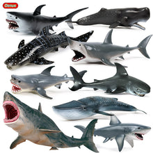 Load image into Gallery viewer, A Variety of Marine Life Models Great White Shark Megalodon Whale Shark Tiger Shark Blue Whale Children Learning Cognitive Ornaments
