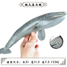 Load image into Gallery viewer, A Variety of Marine Life Models Great White Shark Megalodon Whale Shark Tiger Shark Blue Whale Children Learning Cognitive Ornaments

