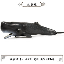 Load image into Gallery viewer, A Variety of Marine Life Models Great White Shark Megalodon Whale Shark Tiger Shark Blue Whale Children Learning Cognitive Ornaments
