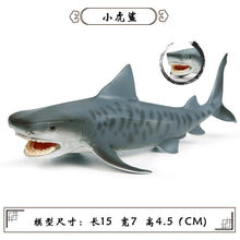 Load image into Gallery viewer, A Variety of Marine Life Models Great White Shark Megalodon Whale Shark Tiger Shark Blue Whale Children Learning Cognitive Ornaments
