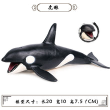 Load image into Gallery viewer, A Variety of Marine Life Models Great White Shark Megalodon Whale Shark Tiger Shark Blue Whale Children Learning Cognitive Ornaments
