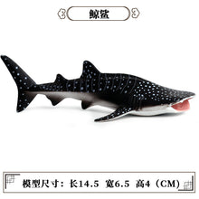 Load image into Gallery viewer, A Variety of Marine Life Models Great White Shark Megalodon Whale Shark Tiger Shark Blue Whale Children Learning Cognitive Ornaments
