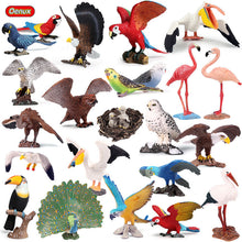Load image into Gallery viewer, Animal Model Toy Set Flying Bird Bird Eagle Parrot Peacock Flamingo Cake Decorative Ornaments Children's Cognitive Toy
