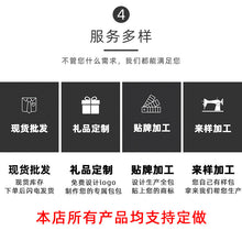 Load image into Gallery viewer, Swagger Bag Polyamides and Nylon Backpack for Travel or Business
