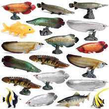 Load image into Gallery viewer, Marine Animal Model Arowana Ocean Freshwater Fish Children's Simulation Educational Teaching Toys
