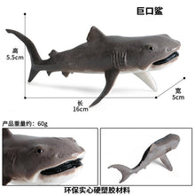 Load image into Gallery viewer, A Variety of Marine Life Models Great White Shark Megalodon Whale Shark Tiger Shark Blue Whale Children Learning Cognitive Ornaments
