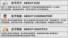 Load image into Gallery viewer, Nylon Backpack Sport Outdoor Swagger Bag Polyamides for Travel or Business
