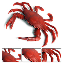 Load image into Gallery viewer, 2pcs/set Simulation Mini Crab Collection Child Figurine Animal Model Home Decor Kids Toys Realistic Sea Animal Modern Model Accessories
