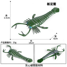 Load image into Gallery viewer, Marine Animal Model Prehistoric Trilobite Shrimp Chrysanthemum and Stone Cambrian Nautilidae Plate Foot Crab Children Teaching Toy Model
