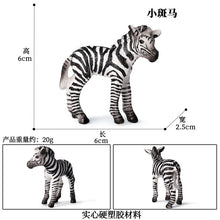 Load image into Gallery viewer, Zebra Model Simulation Wild Animal Children Decoration Toys Learning Education Model
