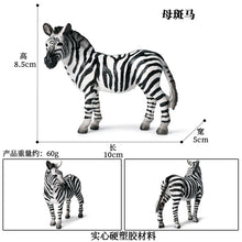 Load image into Gallery viewer, Zebra Model Simulation Wild Animal Children Decoration Toys Learning Education Model
