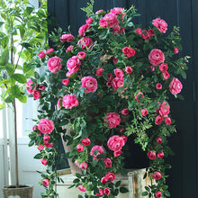 Load image into Gallery viewer, Artificial Rose Vine Fake Flower Vine Garden Decorative Vine Plant Artificial Flowers
