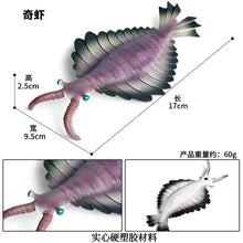 Load image into Gallery viewer, Marine Animal Model Prehistoric Trilobite Shrimp Chrysanthemum and Stone Cambrian Nautilidae Plate Foot Crab Children Teaching Toy Model
