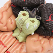 Load image into Gallery viewer, "4D Anatomical Human, Brain Model Anatomy Medical Teaching Tool Toy Statues Sculptures Medical School Use 7.2*6*10cm "
