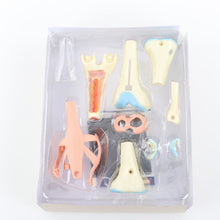Load image into Gallery viewer, 4D Anatomical Model of Human Knee Joint Organs  Medical Teaching Puzzle Assembling Toys  DIY Science Popularization
