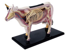 Load image into Gallery viewer, 4D MASTER Animal Puzzle Cow Toys veterinary Anatomical Models Detachable DIY Children Gifts Educational Tool School Used 26100
