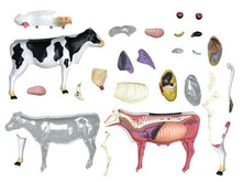 Load image into Gallery viewer, 4D MASTER Animal Puzzle Cow Toys veterinary Anatomical Models Detachable DIY Children Gifts Educational Tool School Used 26100

