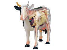 Load image into Gallery viewer, 4D MASTER Animal Puzzle Cow Toys veterinary Anatomical Models Detachable DIY Children Gifts Educational Tool School Used 26100
