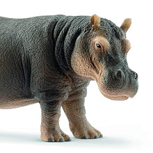 Load image into Gallery viewer, 5 inch Simulation Hippopotamus Wild Life Model Figurines Toy Figures Zoo River Animal Early Educational Toys
