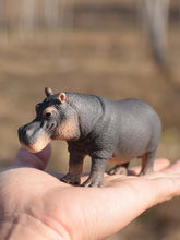 Load image into Gallery viewer, Simulation Hippopotamus Wild Life Model Figures Figurines Toy Figures Zoo River Animal 14814 Home Decor Gift For Kids
