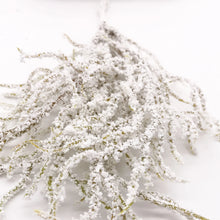 Load image into Gallery viewer, 6pcs Artificial white Grass Plant Artificial Flowers for Wedding Christmas Decor DIY scrapbooking Wreath Fake flowers
