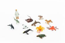 Load image into Gallery viewer, Ocean Animal Toys Shark Turtle Crab Penguin Aquarium Model Children's Educational Science and Education Accessories
