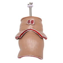 Load image into Gallery viewer, Anatomy Model Human Rectal Hemorrhoid Lesion Model Hemorrhoid Fistula Fistula Fissure Pathology Teaching Model
