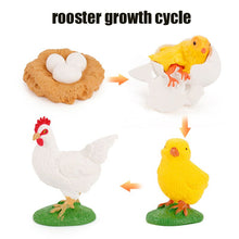 Load image into Gallery viewer, Animal Life Cycle Board Children Toy Teaching Aids Plant Animal Growth Cycle Model Set preschool cognitive Toys
