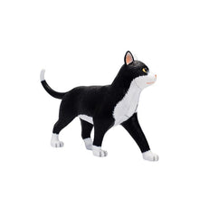 Load image into Gallery viewer, Animal Organ Anatomy Model 4D Cat Intelligence Assembling Toy Teaching Anatomy Model DIY Popular Science Appliances
