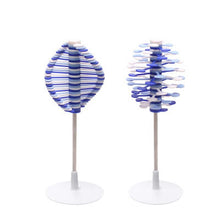 Load image into Gallery viewer, Autism stim sensory stress reliever twirl spinning kinetic funny fidget toys boys girls birthday surprises funny gifts
