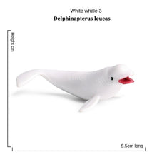 Load image into Gallery viewer, Mini Sea Life Animals Dolphin Rays Shark Turtle Model Action Figures Ocean Marine Aquarium Figurines Education Kids Toys Gifts 24pcs/set
