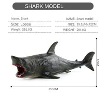 Load image into Gallery viewer, Marine Life Model Large Hollow Simulation Great White Shark Megalodon Underwater World Decoration Toys
