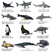 Load image into Gallery viewer, Mini Sea Life Animals Dolphin Rays Shark Turtle Model Action Figures Ocean Marine Aquarium Figurines Education Kids Toys Gifts 24pcs/set
