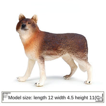 Load image into Gallery viewer, Simulation of wild animals grey wolf series PVC model toys
