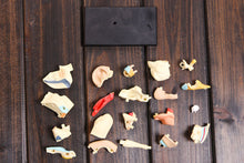 Load image into Gallery viewer, Dental lab Dentist 4D ear human skeleton anatomical model Anatomy model skeleton  3d puzzle educational toys
