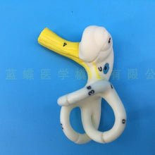 Load image into Gallery viewer, Labyrinthine Model of Inner Ear Medical Model of Human Ear Anatomy Semicircular canal Cochlea  anatomical model
