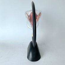Load image into Gallery viewer, Transparent Uterus Model Visible Human Vagina Anatomical Model Female Reproductive Organ Model for Medical Educational Training
