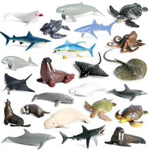 Load image into Gallery viewer, Sea Life Animals Dolphin Crab Shark Turtle Model Action Figures Ocean Marine Aquarium Miniature Cognition Education Toy for Kids
