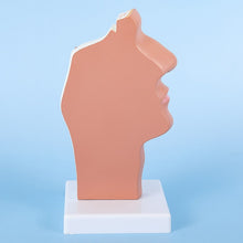 Load image into Gallery viewer, Head Anatomy Model Nasopharyngeal Model Side Vascular Nerve Model In The Mouth, Nose and Throat Nasal Cavity Anatomical Model
