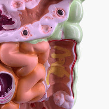 Load image into Gallery viewer, Human Digestive System Model Stomach Anatomy Large Intestine Cecum Rectum Duodenum Human Internal Organs Structure Model
