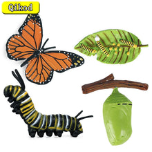 Load image into Gallery viewer, Kids Cognitive Educational Toys Simulation Animal Insect Model Mini Animal Butterfly Growth Cycle Ornaments
