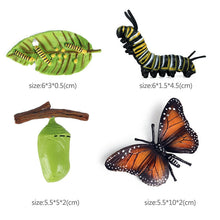 Load image into Gallery viewer, Kids Cognitive Educational Toys Simulation Animal Insect Model Mini Animal Butterfly Growth Cycle Ornaments
