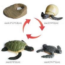 Load image into Gallery viewer, Kids Cognitive Educational Toys Simulation Animal Insect Model Mini Animal Butterfly Growth Cycle Ornaments
