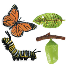 Load image into Gallery viewer, Kids Cognitive Educational Toys Simulation Animal Insect Model Mini Animal Butterfly Growth Cycle Ornaments
